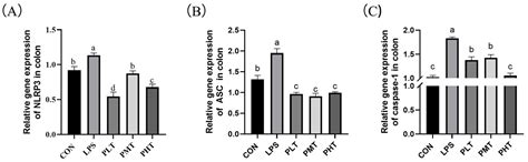 Terpinen-4-ol Improves the Intestinal Barrier Function of the Colon in ...