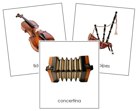 European Musical Instruments with Names 的图像结果