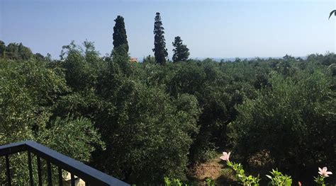 PHYSIS STUDIOS (Vasilikos, Zakynthos) - Apartment Reviews & Photos ...