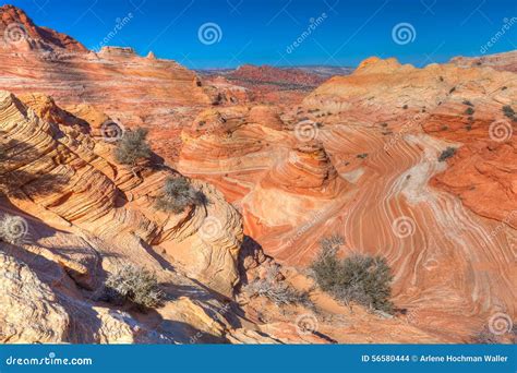 AZ-N. Coyotte Buttes-the Wave Stock Photo - Image of desert, formations ...