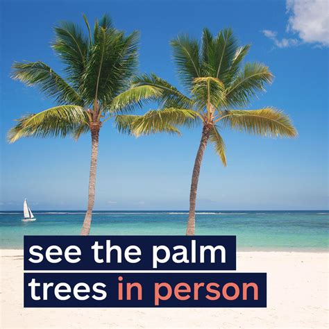 Allstate Dealer Services on LinkedIn: See the palm trees in person ...