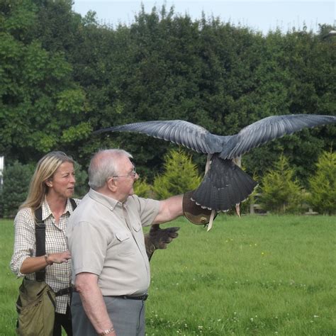 VALE ROYAL FALCONRY CENTRE (2024) All You Need to Know BEFORE You Go ...
