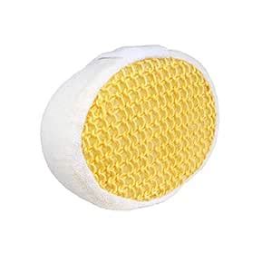 Buy Vega Sisal Sponge Relaxer Online at Low Prices in India - Amazon.in