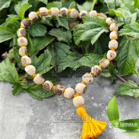 27+1 Tulsi Jaap Mala Cum Hand Bracelet 10 mm Bead Size - Tulsi Mala