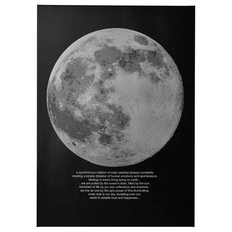 PJÄTTERYD picture, moonlight, 50x70 cm (19 ¾x27 ½") - IKEA