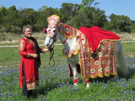 Fantasia Carriage (Lago Vista) - All You Need to Know BEFORE You Go