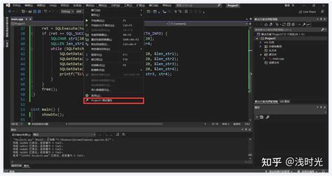 VS2022 SQL Server Tutorial 的图像结果