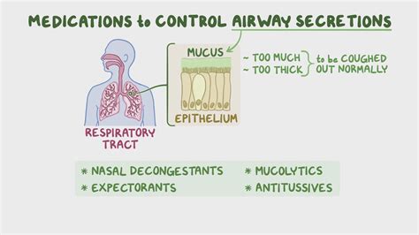 Medication Tessalon Perles