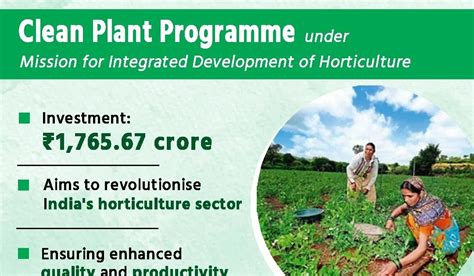 CLEAN PLANT PROGRAMME (CPP) / தூய தாவரத் திட்டம்