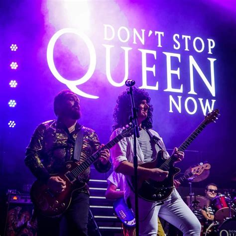 Image result for The Springfields Live