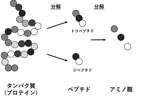 Image result for Nearest Neighbours Algorithm Graph Examples