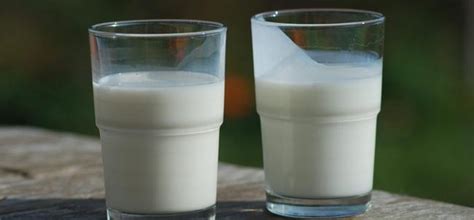 Top 10 Fat-Burning Foods