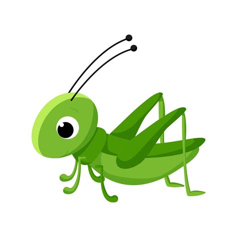 Cartoon grasshopper. Vector insect illustration isolated on white ...