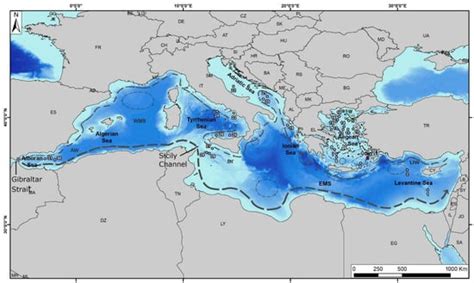 Towards an Integrated and Accurate Planktonic-Foraminiferal-Deduced Bio ...