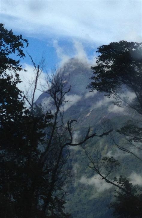 KINABALU PARK (Kota Kinabalu, Sabah) - Lodge Reviews & Photos - Tripadvisor