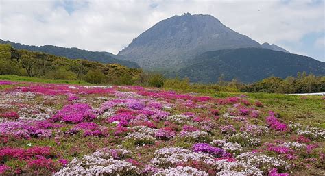 SHIMABARA HIBARUYAMAHANA PARK (2025) All You Need to Know BEFORE You Go ...