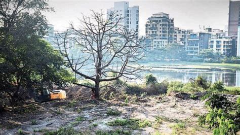 Vashi Navi Mumbai 的图像结果