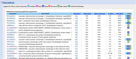 Image result for Blast Tutorial DNA Ubuntu