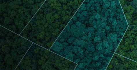 Image result for Land Management System Done Project