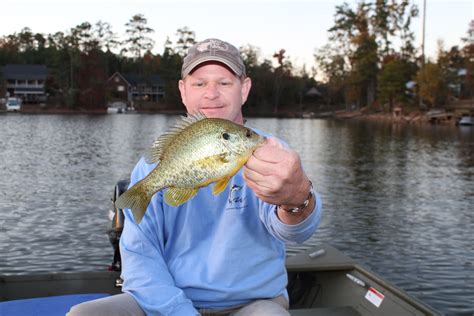 Image result for Shellcracker Fishing 2014