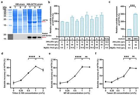 High-Yield Expressed Human Ferritin Heavy-Chain Nanoparticles in K ...