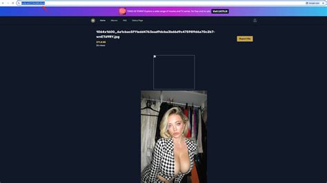 如何从 Bunkr 公共相册下载所有图片？ - Imaget