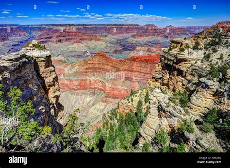 River 的图像结果