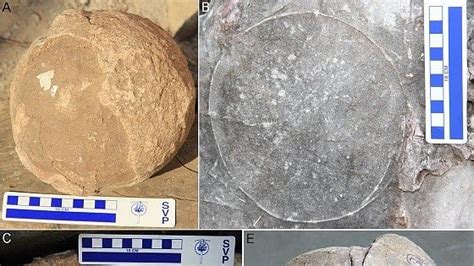 Unearthing Ancient Secrets: Tracing Indian Rich Past Through ...