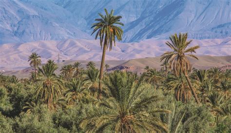 4-Day Sahara Desert Tour from Marrakech