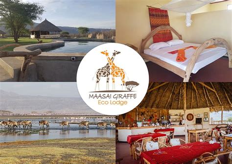 Maasai Giraffe Eco Lodge Pool Pictures & Reviews - Tripadvisor