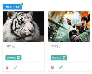 Image result for Multi File Uploader