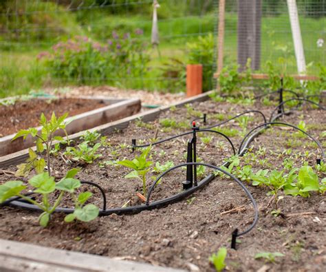 Drip Irrigation For Raised Beds – Grow More With Less Water | Gardening ...
