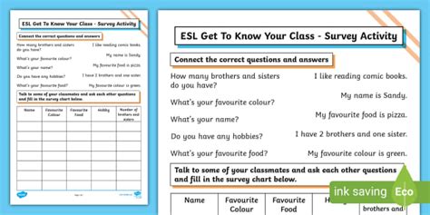 ESL Get To Know Your Class - Survey Activity (teacher made)