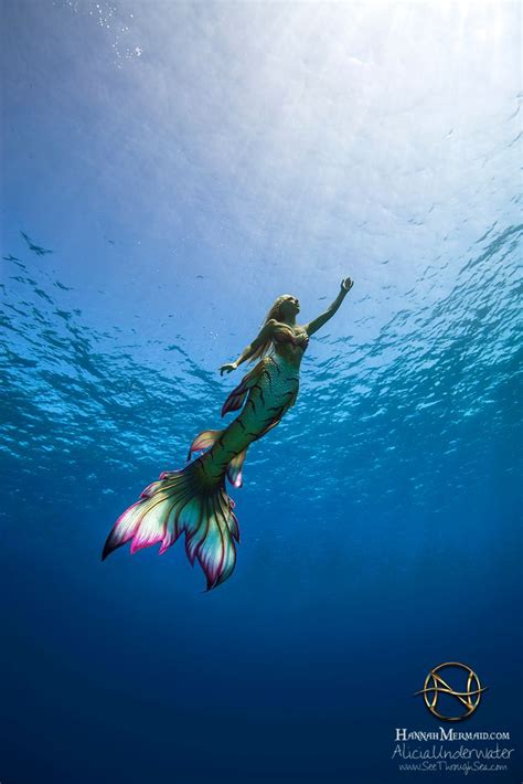 Hannah Mermaid 的图像结果