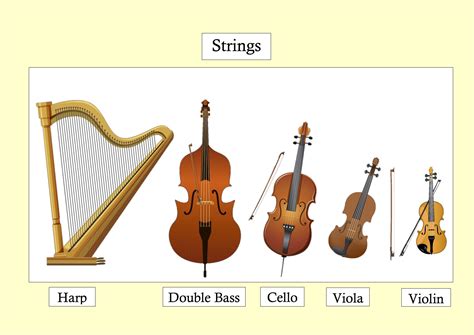 Image result for Orchestral Instruments