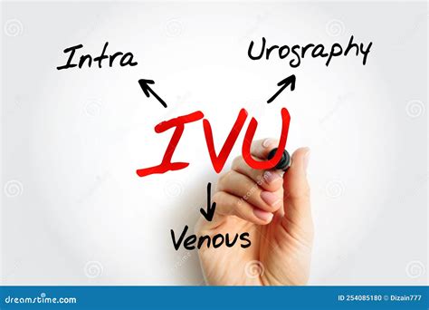 IVU Intravenous Urography - X-ray Exam Of Your Urinary Tract, Acronym Text Concept Background ...