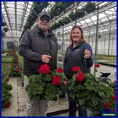 #massachusetts #cavicchio #ornamentals #greenhouse #greenhouses # ...