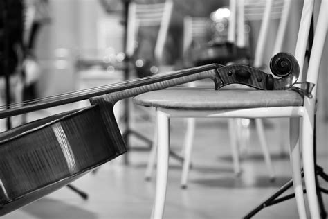 Brooklyn Center for Performance Spring 2024 Cello Recital, Open Arts ...