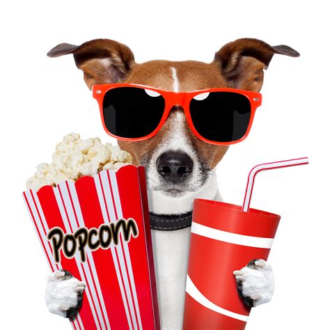 Free Movie Night Cliparts, Download Free Movie Night Cliparts png ...