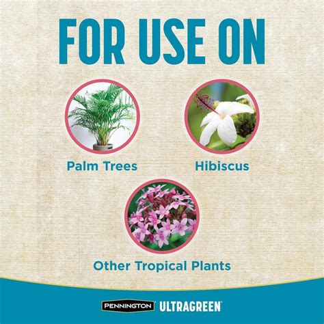 Buy Ultragreen 5 lbs. Palm Tree and Hibiscus Plant Food 9-4-9 Online at ...