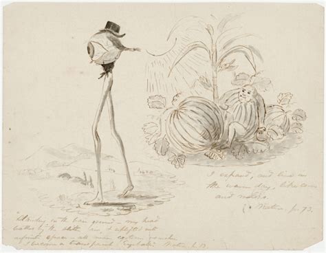 Nature Emerson 的图像结果