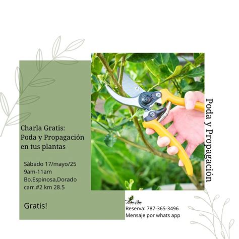 Charla Gratis: Poda y propagación en nuestras plantas , PR-2(E), Dorado ...