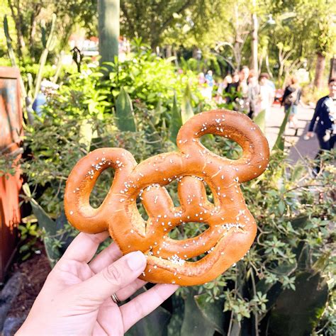 The Best Animal Kingdom Restaurants for Your Next Visit