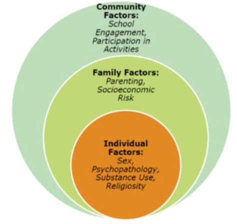Individual and Contextual Risk and Protective Factors for Suicidal Thoughts and Behaviors among ...
