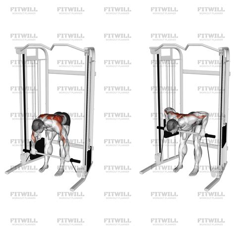 Image result for Cable Bent Over Row