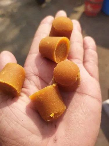 Image result for Jaggery Cubes Making Machine
