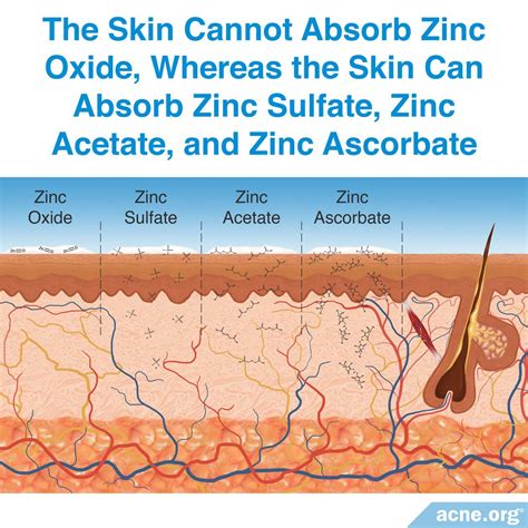 Effects Of Zinc Oxide On Skin