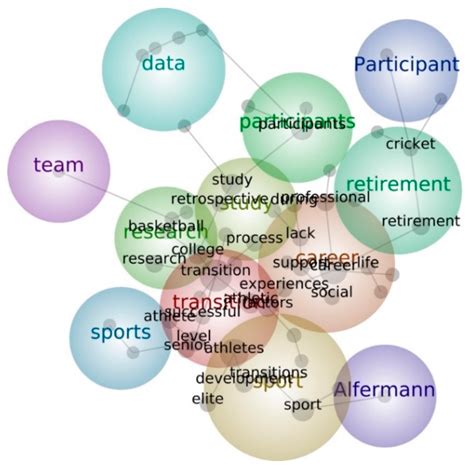 Sustainable Careers of Athletes: Themes and Concepts Regarding ...