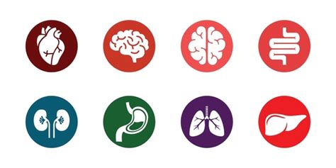 医学 的图像结果