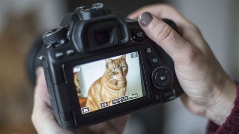 Canon Tutorials Photography 的图像结果